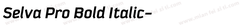 Selva Pro Bold Italic字体转换